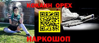 крисы Малгобек