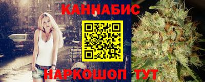крисы Малгобек