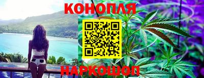 крисы Малгобек